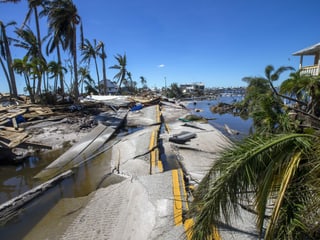 Eine zerstörte Strasse, seitlich davon stehen Palmen, die sichtlich mitgenommen wurden vom Hurrikan.
