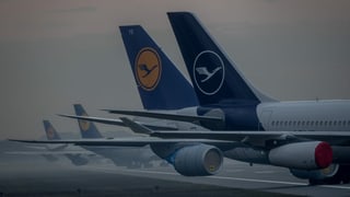 Lufthansa Flugzeuge am BodenDie Lufthansa leidet wie die gesamte Luftfahrt unter den Reisebeschränkungen in der Pandemie. Die Airline wurde mit einem milliardenschweren Rettungspaket des Bundes vor dem Aus bewahrt.