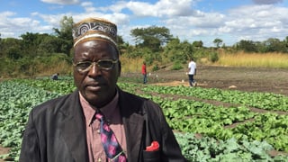 Bürgermeister Frank Pemba steht vor einem Feld Bürgermeister Frank Pemba steht vor einem Feld