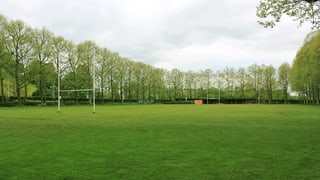 Die leere, von Bäumen gesäumte Pruntrutermatte in Basel mit zwei Rugby-Toren.