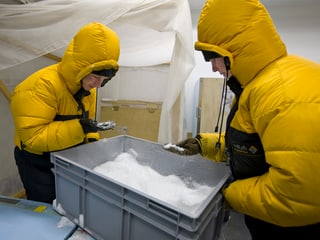 Zwei Mitarbeiter des SLF bäugen sich über eine graue Platikbox mit Schnee und nehmen eine Hand voll.