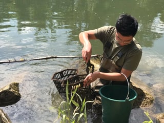 9, 5 Kilo Signalkrebse fisch Jan Rommerskirchen pro Fang