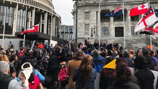 Hunderte Maori-Demonstranten vor dem Parlament