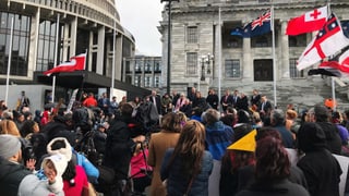Hunderte Maori-Demonstranten vor dem Parlament Hunderte Maori-Demonstranten vor dem Parlament