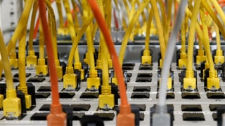 Stecker in einem Computer