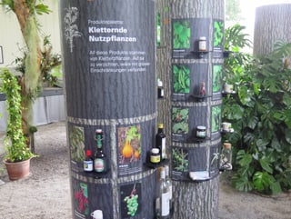 Ausstellung Botanischer Garten