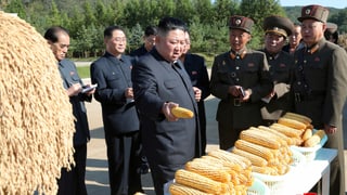 Kim Jong-un besucht eine Farm in seinem Land.