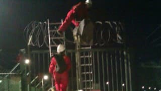 MItglieder von Greenpeace klettern über einen Zaun.