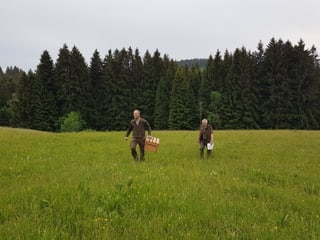 Zwei Männer laufen durch eine Wiese Zwei Männer laufen durch eine Wiese