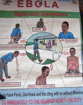 Plakat zeigt schematisch gezeichnet die Symptome von Ebola.