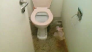 WC-Anlage mit Papier am Boden