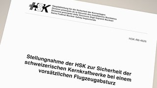 Deckblatt des Berichts des HSK. Deckblatt des Berichts des HSK.