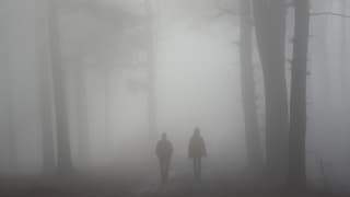 Zwei Leute spazieren in dichtem Nebel durch einen Wald.