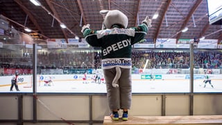 Speedy-Maskottchen Speedy-Maskottchen