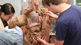 Ein Dozent weist Studentinnen auf bestimmte Teile eines plastinierten Körpers hin.