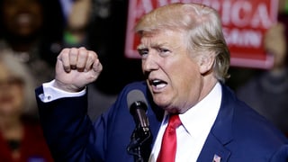 Donald Trump Donald Trump