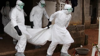 Ebola – wer stoppt die Seuche?