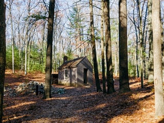Kleines Haus in einem Wald. 