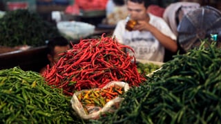 Haufen von grünem und rotem Chili auf einem Markt in Jakarta.