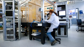 Eine Frau in einem Labor blickt durch ein Mikroskop. 