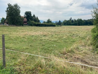 Das Märimoos wird langsam wieder zum Feuchtgebiet. Das Märimoos wird langsam wieder zum Feuchtgebiet.