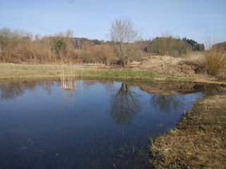 Blick über den Tümpel