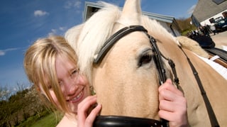 Ein Mädchen streichelt ein Pferd am Kopf und freut sich darüber.