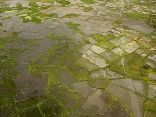 Überschwemmte Felder in Mosambik