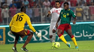 Kamerun nimmt bereits zum 7. Mal an einer WM-Endrunde teil.