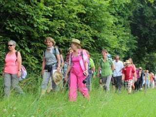 Die bunte Wandergruppe ist zu Fuss entlang eines Waldes unterwegs.