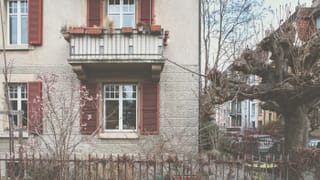 eine Katzenleiter, die vom Baum ins Haus führt eine Katzenleiter, die vom Baum ins Haus führt