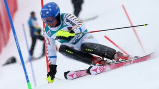 Mattias Hargin fährt um eine Slalom Stange 