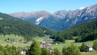 Blick in ein Bergtal im Sommer