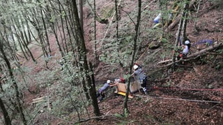 Waldstück in steilem Gelände - eine abgestürzte Kabine einer Seilbahn liegt am Boden. 