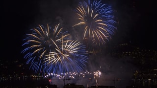 Ein farbenfrohes Feuerwerk am Züri Fäscht 2016. Ein farbenfrohes Feuerwerk am Züri Fäscht 2016.