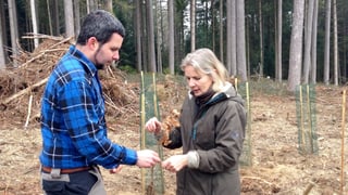 Ein Mann mit einem karierten Hemd (links) und eine Frau mit blonden Haaren. Ein Mann mit einem karierten Hemd (links) und eine Frau mit blonden Haaren.