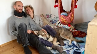 Porträt einer jungen Familie mit Hund Porträt einer jungen Familie mit Hund
