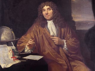 Antoni van Leeuwenhoek auf einem Ölgemälde im Museum Boerhave in Leiden.
