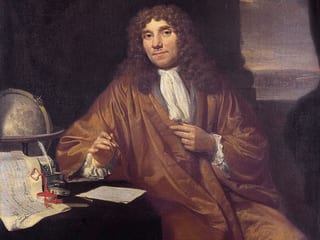 Antoni van Leeuwenhoek auf einem Ölgemälde im Museum Boerhave in Leiden. Antoni van Leeuwenhoek auf einem Ölgemälde im Museum Boerhave in Leiden.