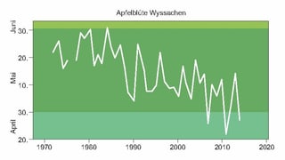Statistik über die Apfelblüte Statistik über die Apfelblüte