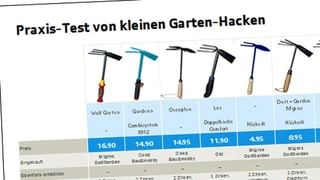 Die Resultate