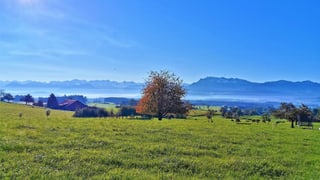 Blick von Hildisrieden Richtung Alpen. Blick von Hildisrieden Richtung Alpen.