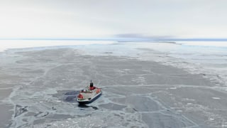 «Polarstern» im Eis.