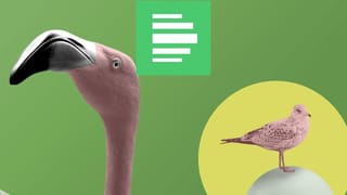 Tiergespräch