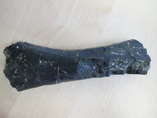 Versteinerter Dinosaurierknochen