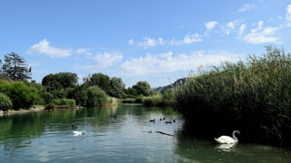 Am Thunersee war es ziemlich sonnig. Am Thunersee war es ziemlich sonnig.