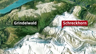 3-D-Karte mit Markierung von Grindelwald und dem Schreckhorn 3-D-Karte mit Markierung von Grindelwald und dem Schreckhorn