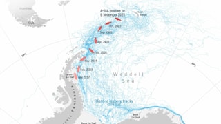 Karte, in der eingezeichnet ist, wie der Eisberg Richtung Südgeorgien treibt. Karte, in der eingezeichnet ist, wie der Eisberg Richtung Südgeorgien treibt.
