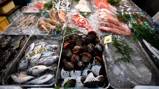 Auslage mit Fisch und Muscheln am Tsukiji-Markt Auslage mit Fisch und Muscheln am Tsukiji-Markt