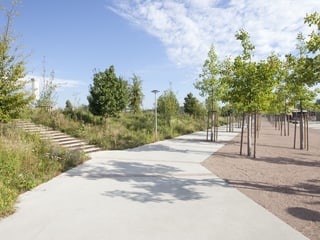 Asphaltierter Parkweg, links eine Böschung, rechts kleine Baumallee auf einem Kiesplatz